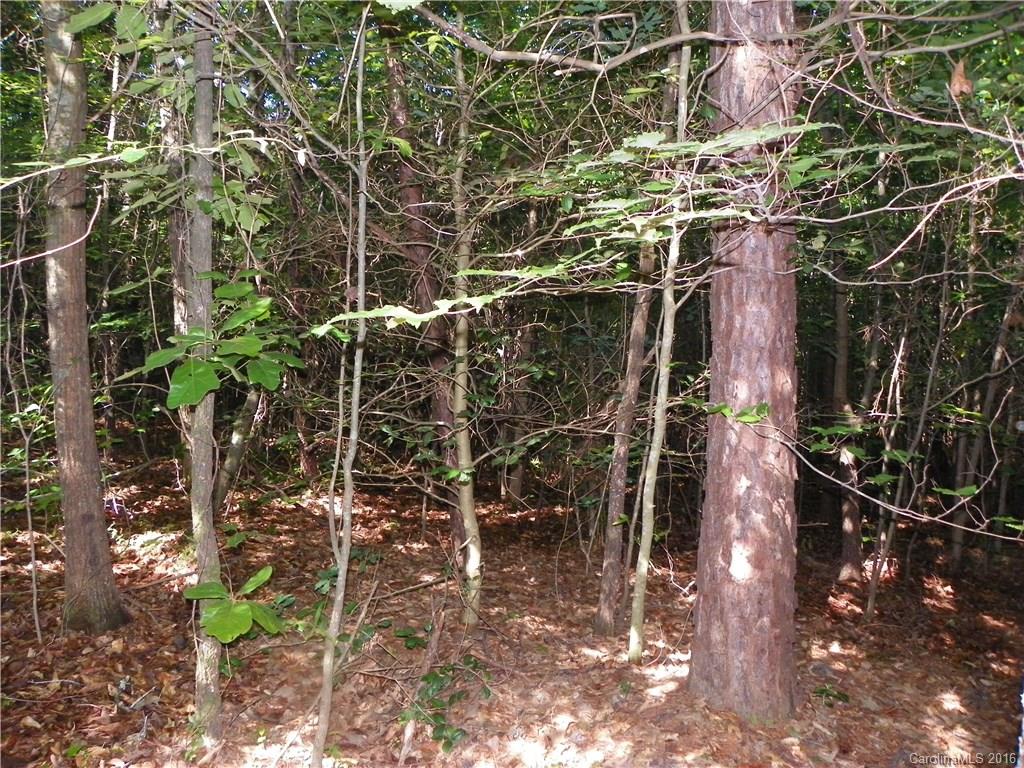 Clarendon Estates - Land