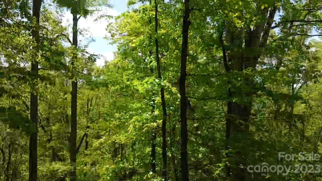 The Waterfront Club - Land