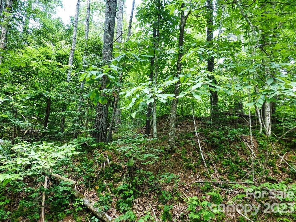 The Waterfront Club - Land