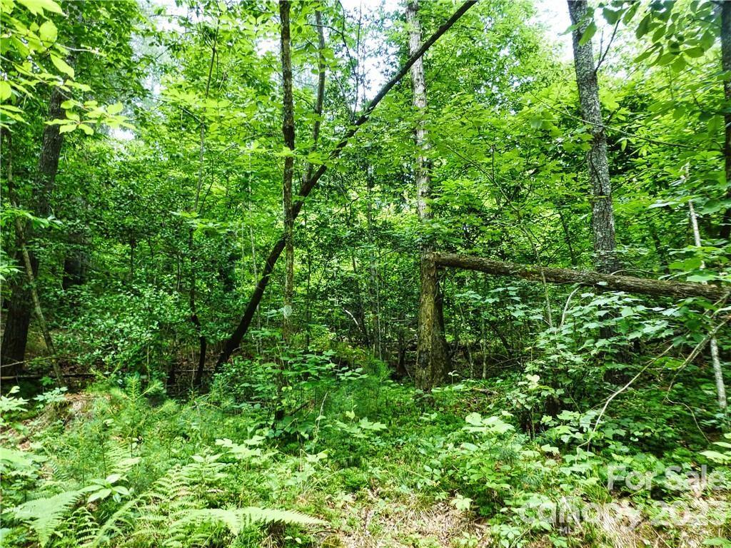 The Waterfront Club - Land