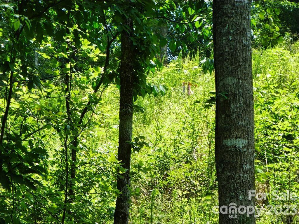 The Waterfront Club - Land