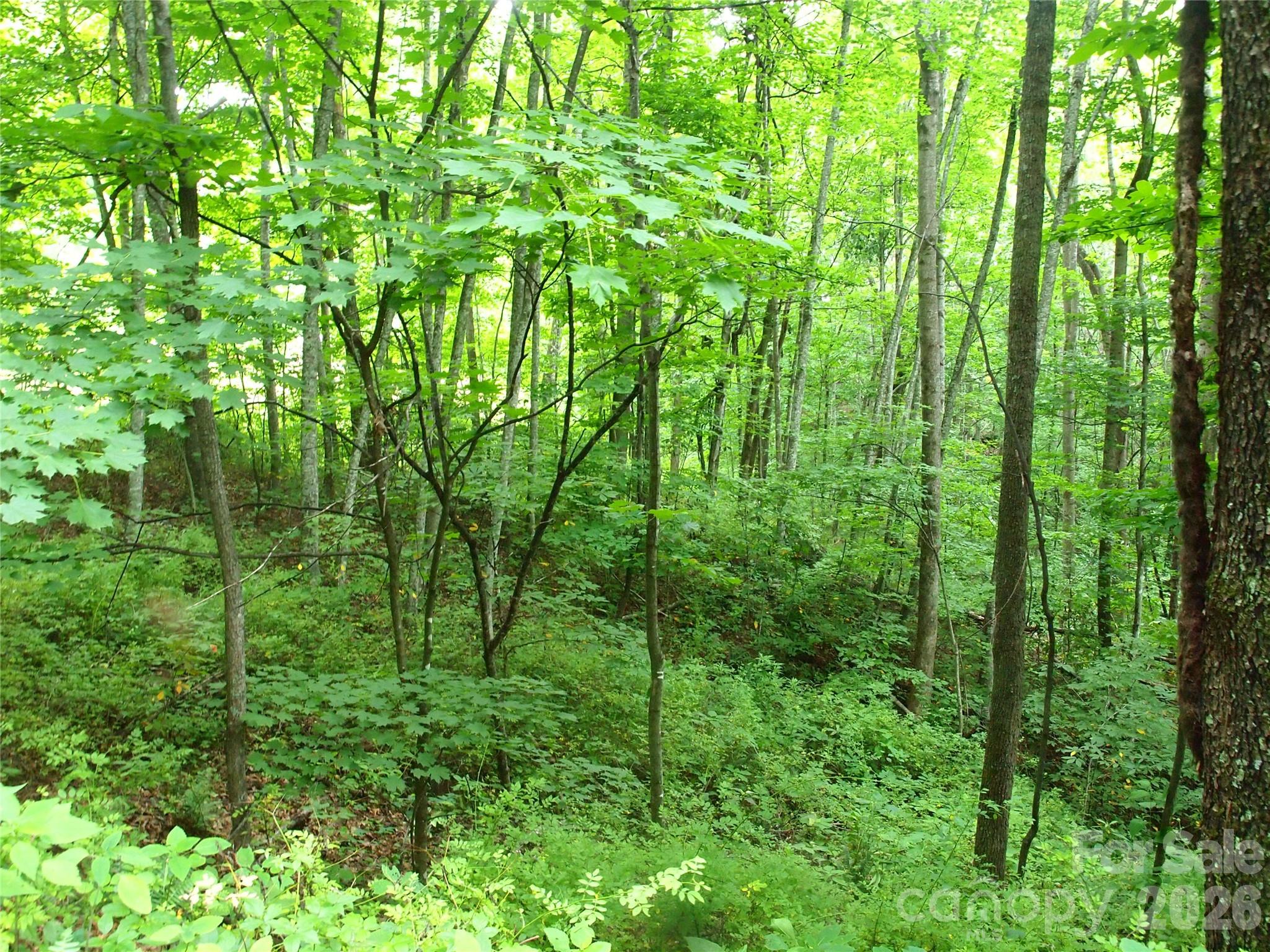 00 Sage Lane 4