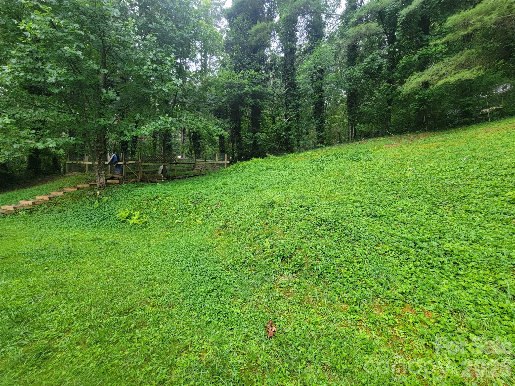 169 Roadrunner Drive