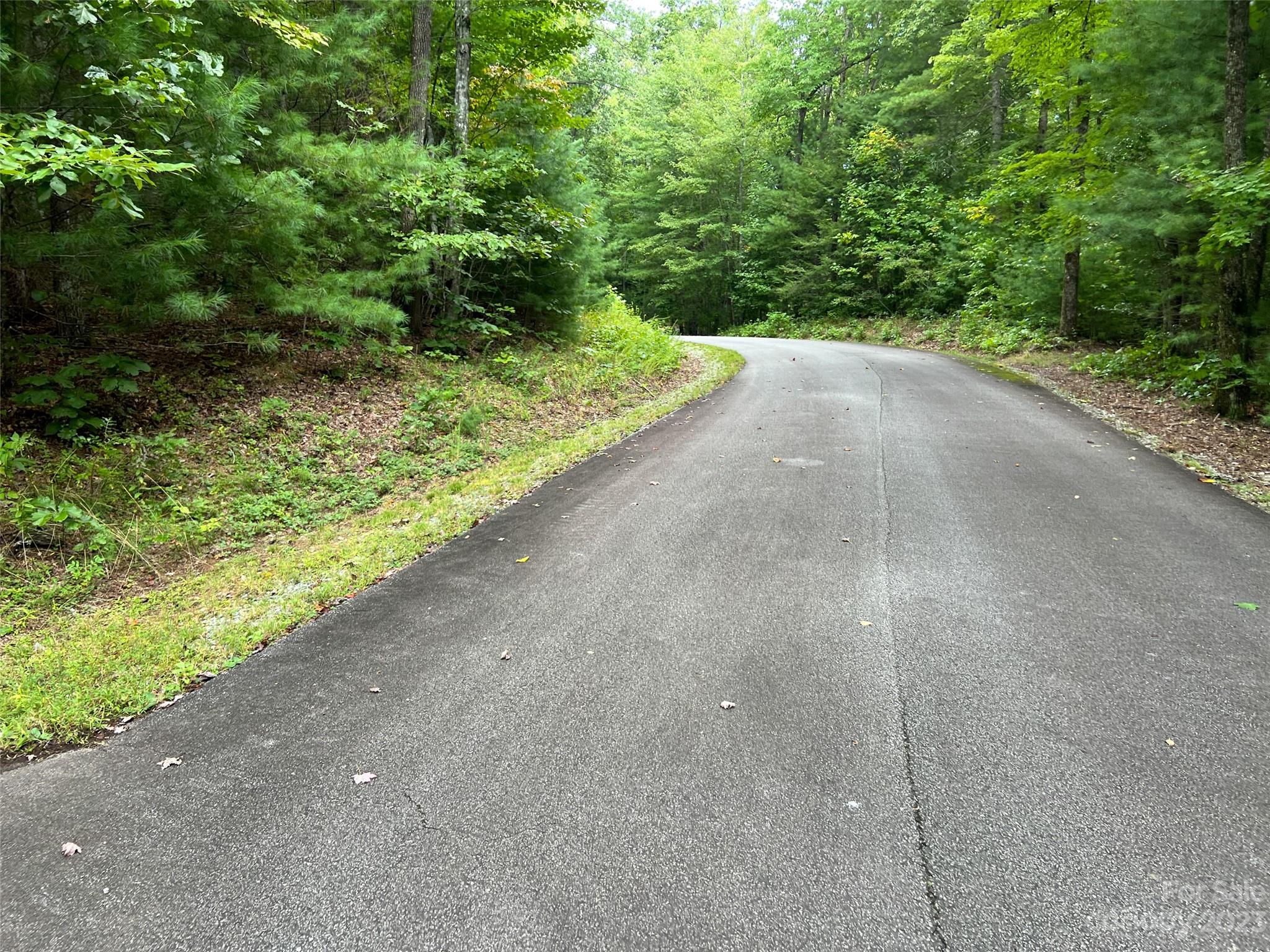 106 Green Hollow Lane