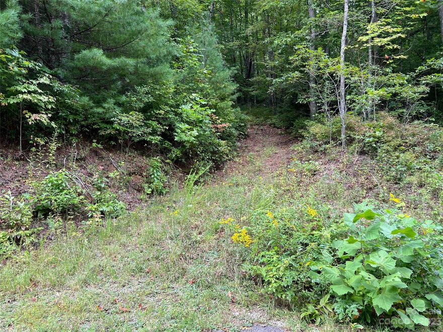 This Big Hill homesite offers gentle rolling topography. Its convenient location puts you just a short distance away from the charming downtown area of Brevard, renowned for its vibrant arts scene, local shops, restaurants, and cultural events. With its natural beauty and serene ambiance, this location is ideal for those looking to immerse themselves in nature and enjoy outdoor activities such as hiking, biking, and wildlife spotting. Whether you are planning to build your forever home or create a vacation retreat, this homesite in the Big Hill neighborhood presents an incredible opportunity to live amidst the beauty of the North Carolina mountains while enjoying the comforts of a welcoming community. Don't miss the chance to make this slice of paradise your own.