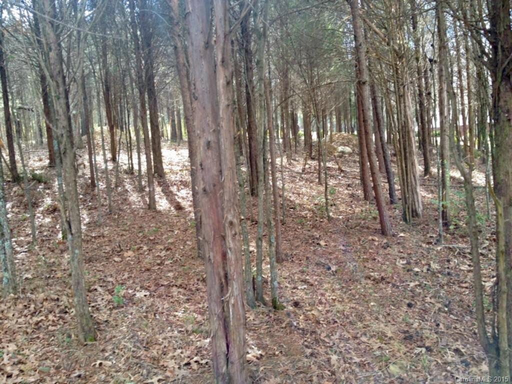 Cedarbrook Acres - Land