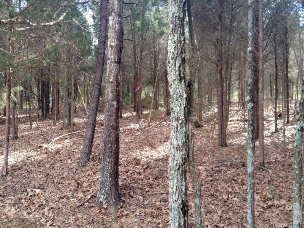 Cedarbrook Acres - Land
