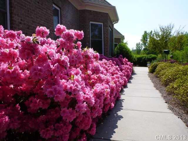 Laurel Creek - Residential