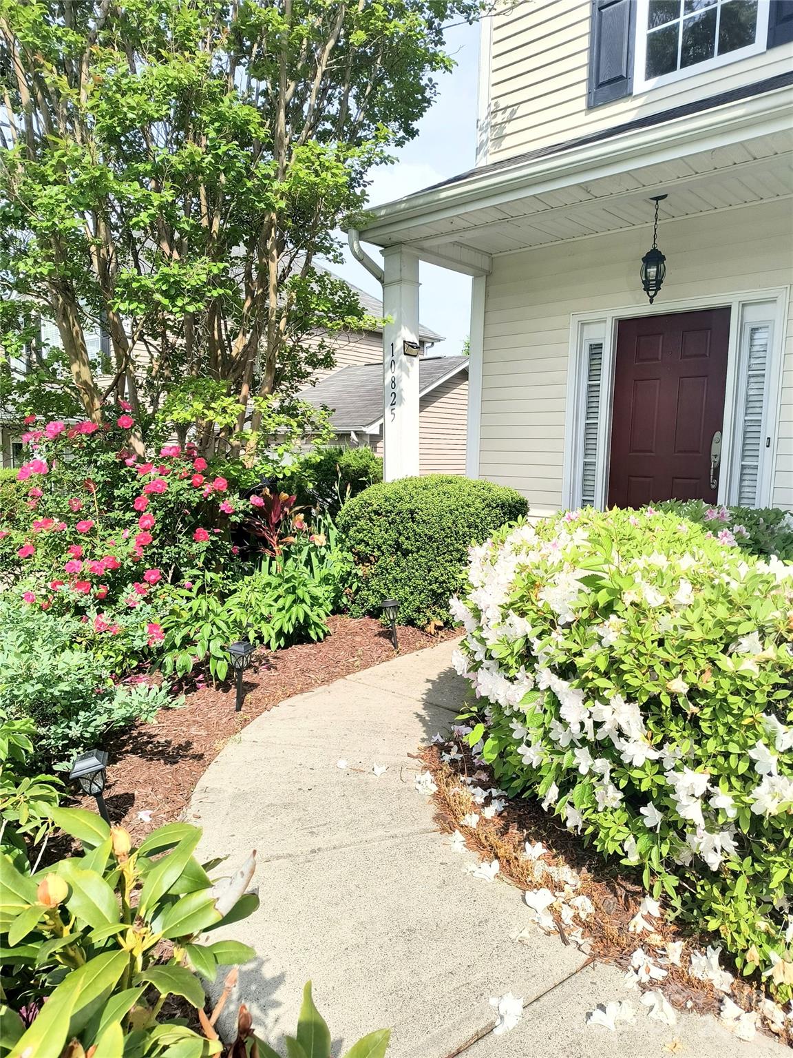 10825 Traders Court