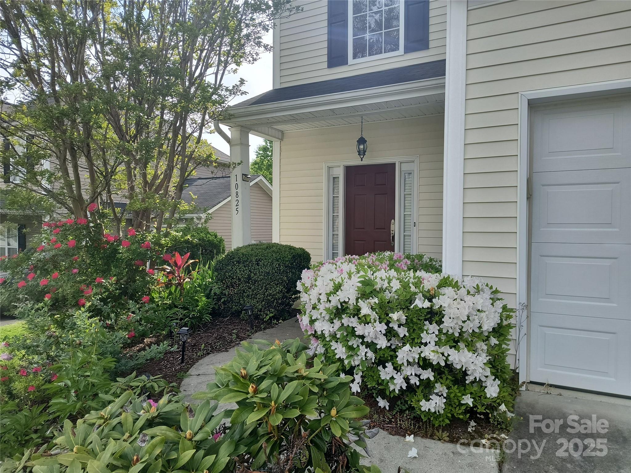 10825 Traders Court