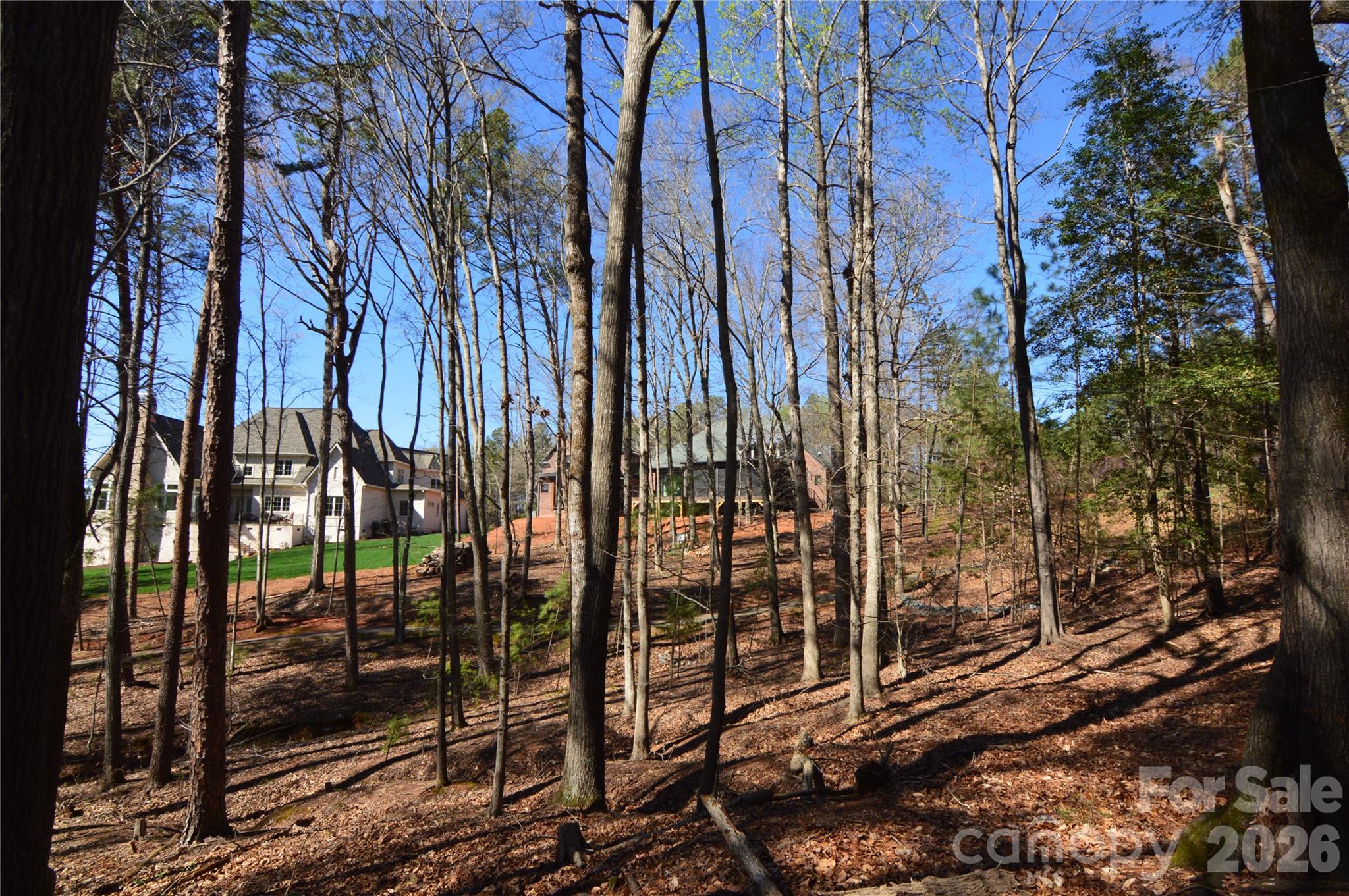Reflection Pointe - Land