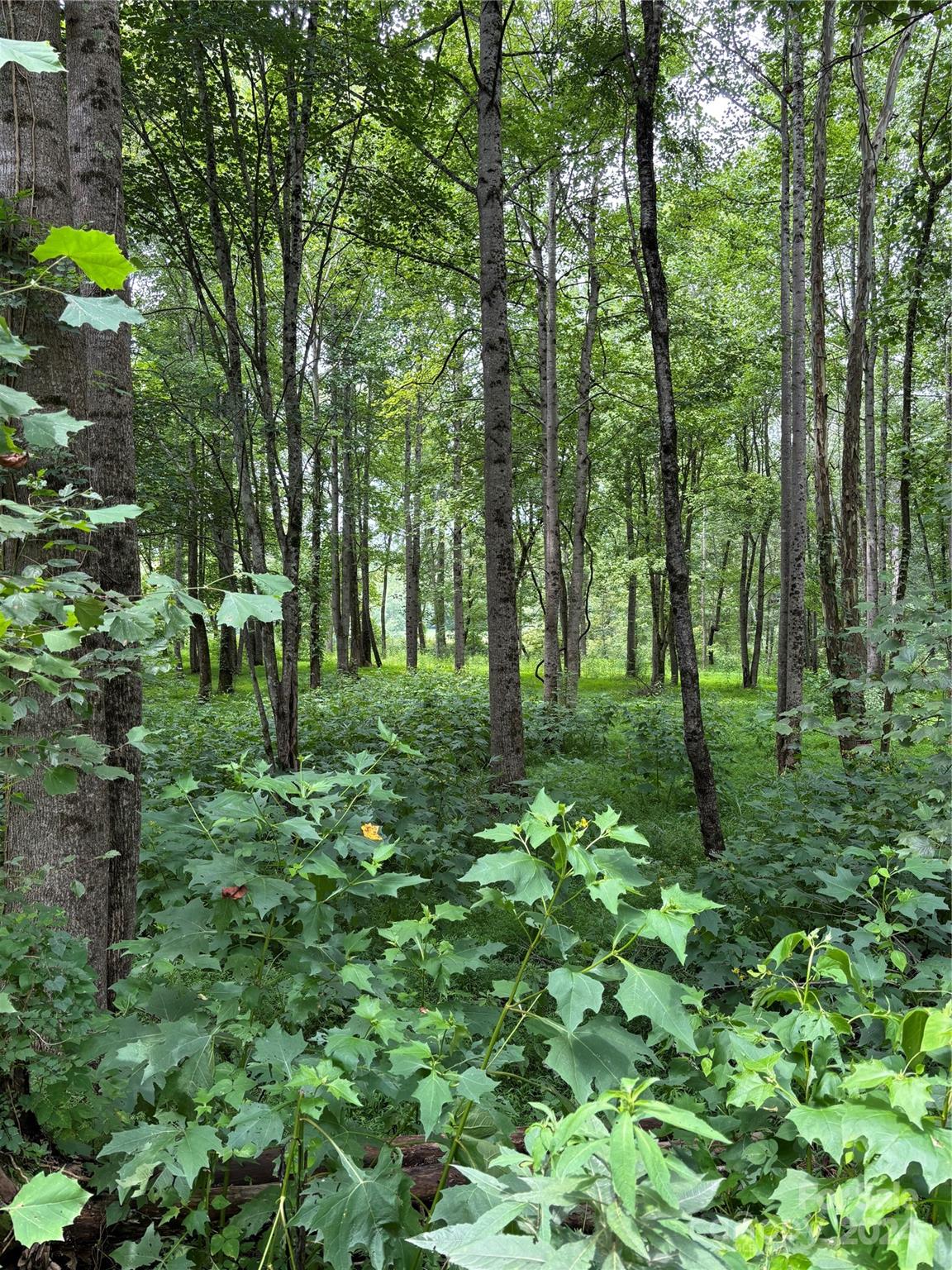 River Rock Shores - Land