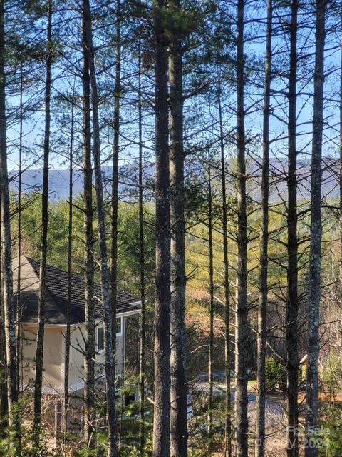 A home in Lenoir