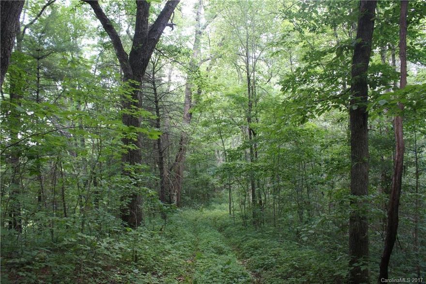 Beautiful wooded acreage with large flats and huge trees. First time ever on the market! Gated privacy perfect for a family compound, second home/vacation property or recreational property. Close to the town of Marshall - approximately 15-20 minutes, but feels very remote. Multiple home sites and some roadbeds already in place. Property is portion of PIN# 9718884042 - buyer to pay for survey to subdivide.