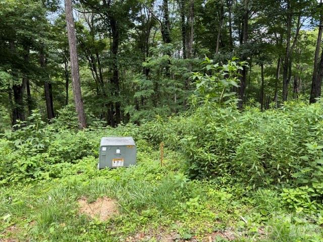 Lot 28 Toi Trail 28