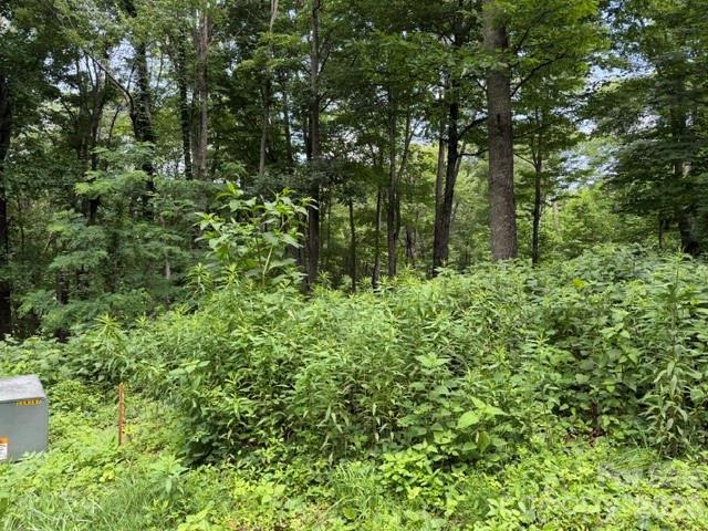 Lot 28 Toi Trail 28