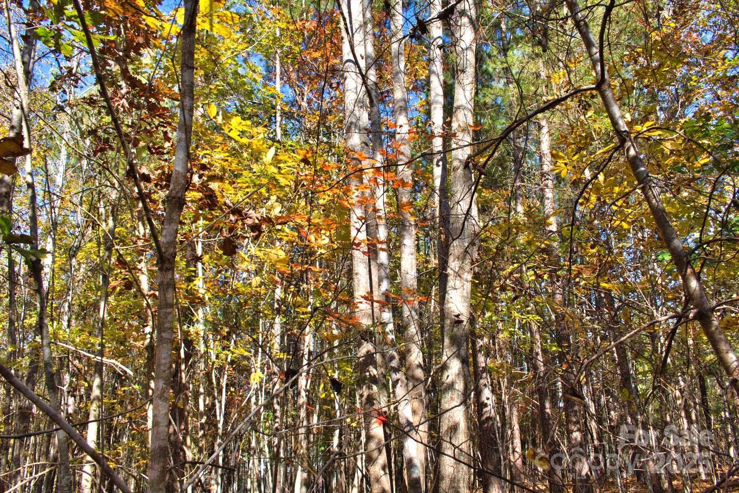 0 Creekside Circle 113