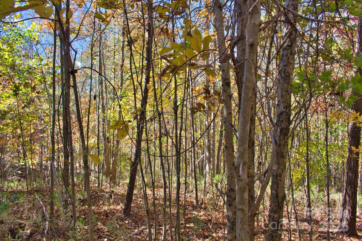 0 Creekside Circle 113