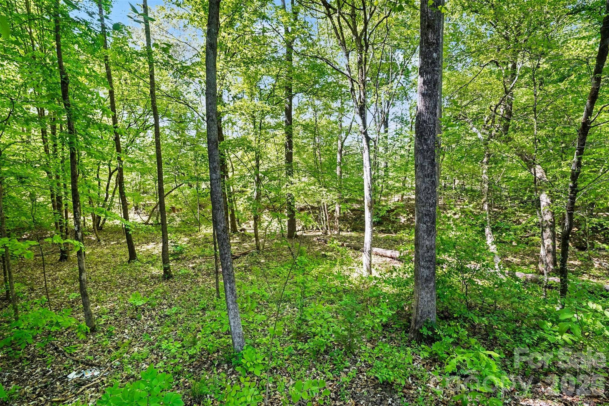 Mountain Brook - Residential