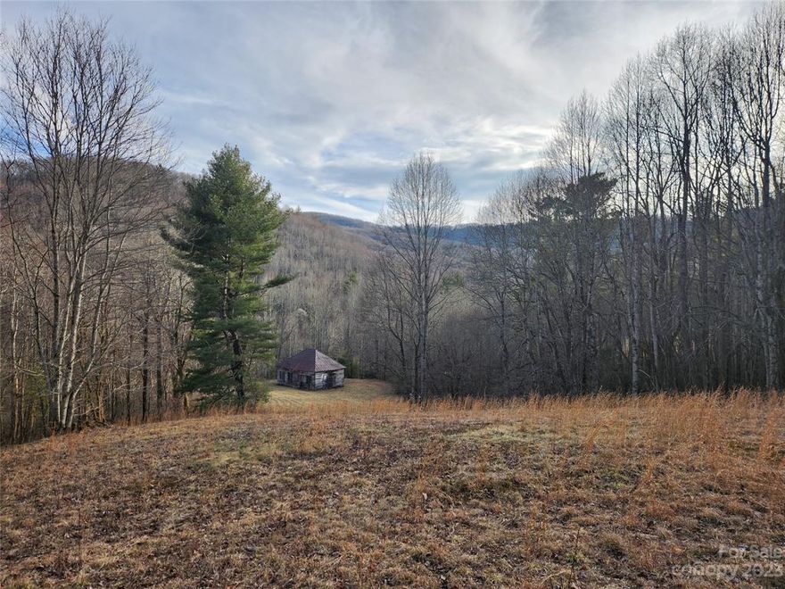 Banner Elk Land Available - 20 +/- acres - Affordable priced to sell. Mature Timber,  Rolling Pasture and home to the historic Rominger School.  Incredible long range views.  Across the paved road from the Spice Branch of Laurel Creek and very near Laurel Creek - See attached satellite pictures.  Paved road frontage.  Two parcels combined.  Abundant wildlife. Endless possibilities. Use for outdoor recreation or build your dream mountain home.  Approximately 8 miles from 421. Most see to appreciate.  Book your appointment to see this unique land.  Shoppers and agents prohibited from entering school house due to condition.  No parts of school house to be sold separately.  Owner to retain farm gate at entrance and loose timbers in school house.