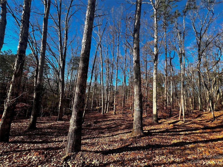 Incredible opportunity to build your DREAM home just minutes from downtown Davidson with low Iredell County taxes in brand-new custom home community, Copper Pine! Estate-sized, wooded homesite with quick access to fabulous boutiques, gourmet restaurants, Village Green Park, and more. A great location for your luxury custom home to be built by repeat "Best of the Lake" winners, AR Homes - Monterey Bay Construction Charlotte. Choose from a wide variety of fully customizable plans, including ranch and 2-story options, or partner with our experienced local team to design and build your one-of-a-kind AR Home, complete with high-end finishes throughout. Call to schedule your personalized design consultation today.