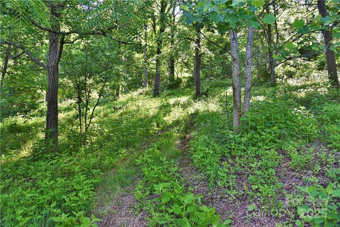 Pine Burr Park - Residential