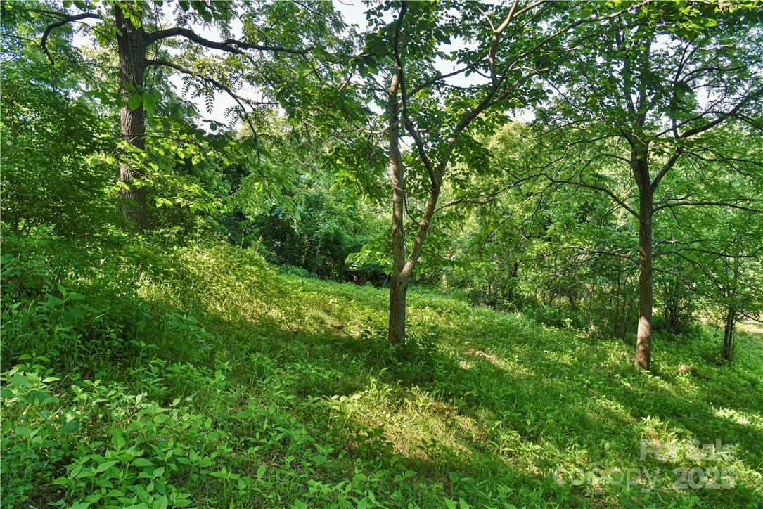 Pine Burr Park - Residential