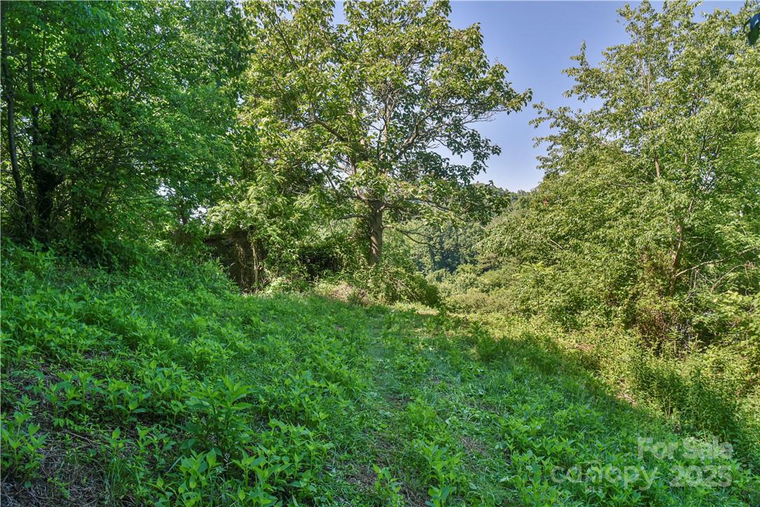 Pine Burr Park - Residential