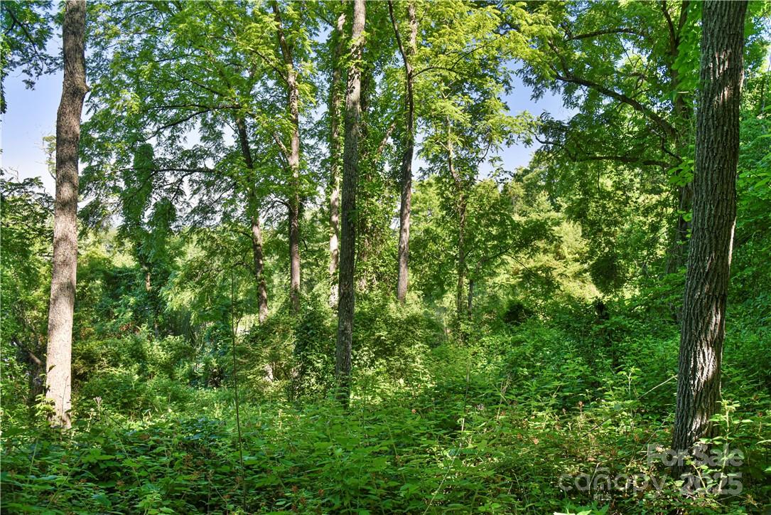 Pine Burr Park - Residential