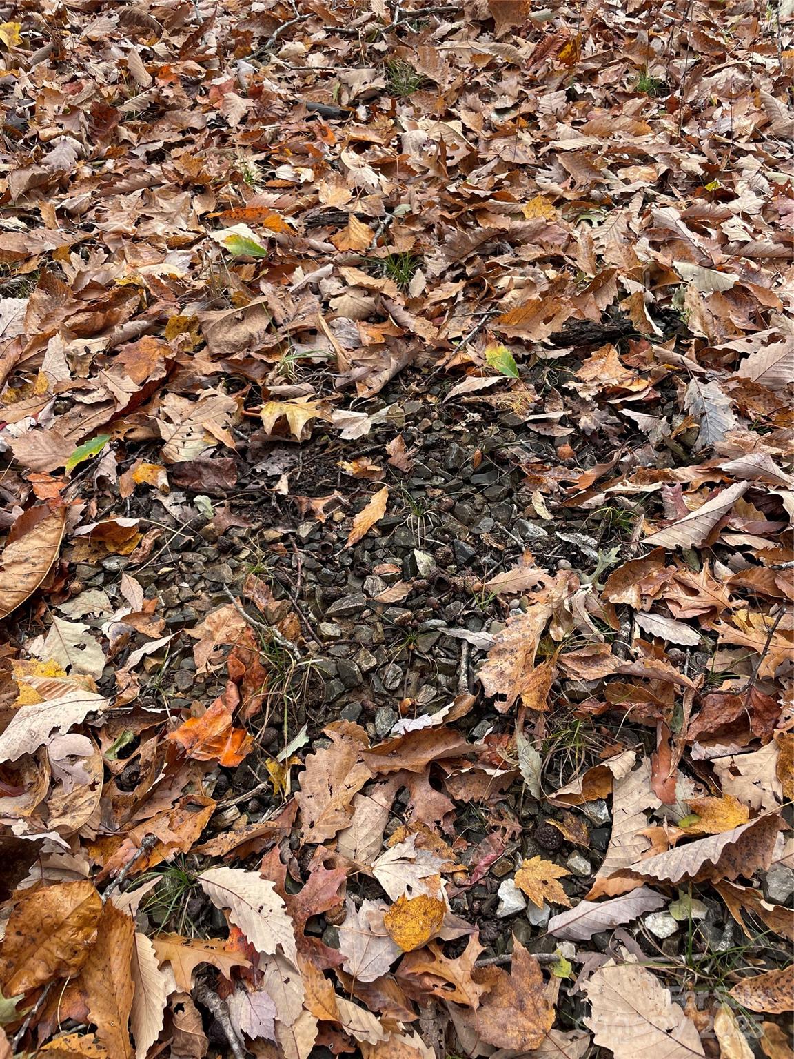 Forest Heights - Land