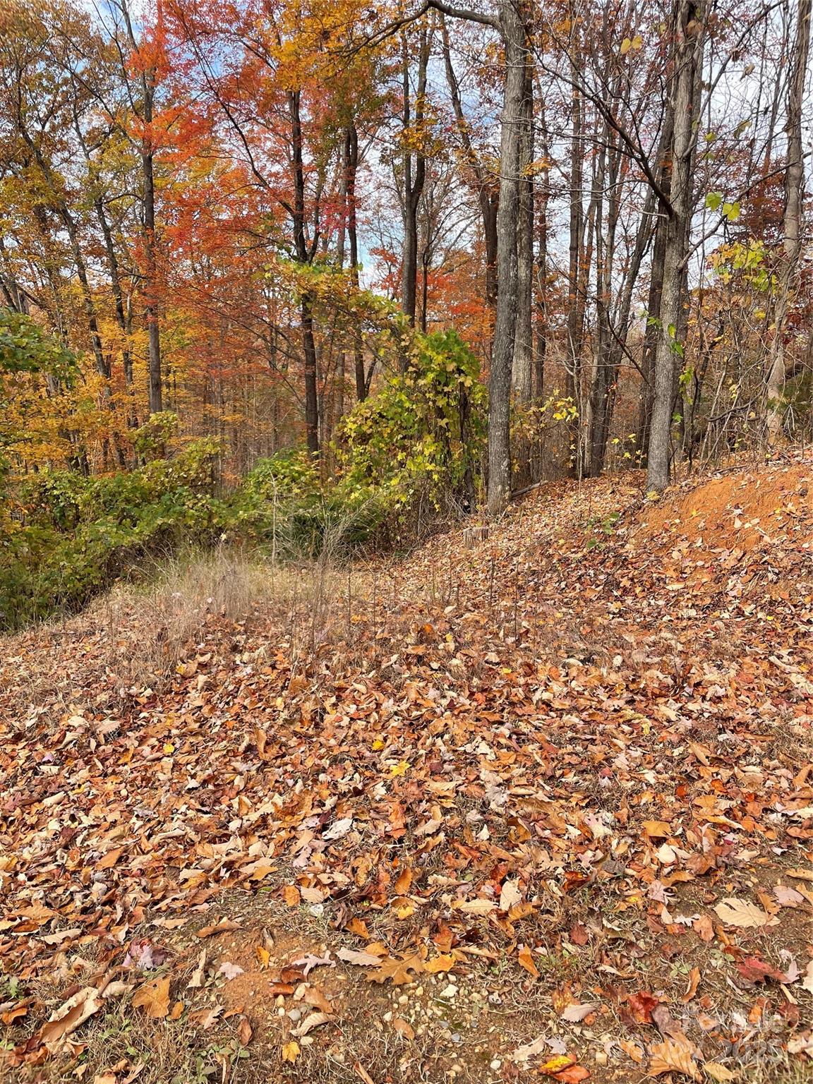 Forest Heights - Land