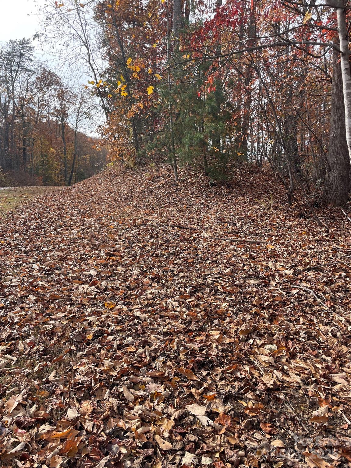 Forest Heights - Land