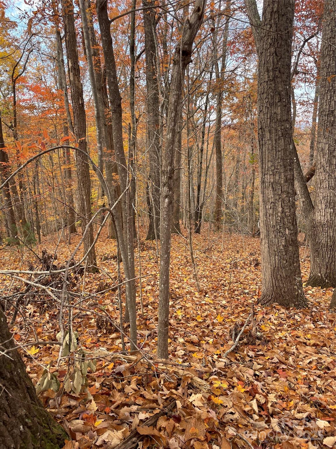 Forest Heights - Land