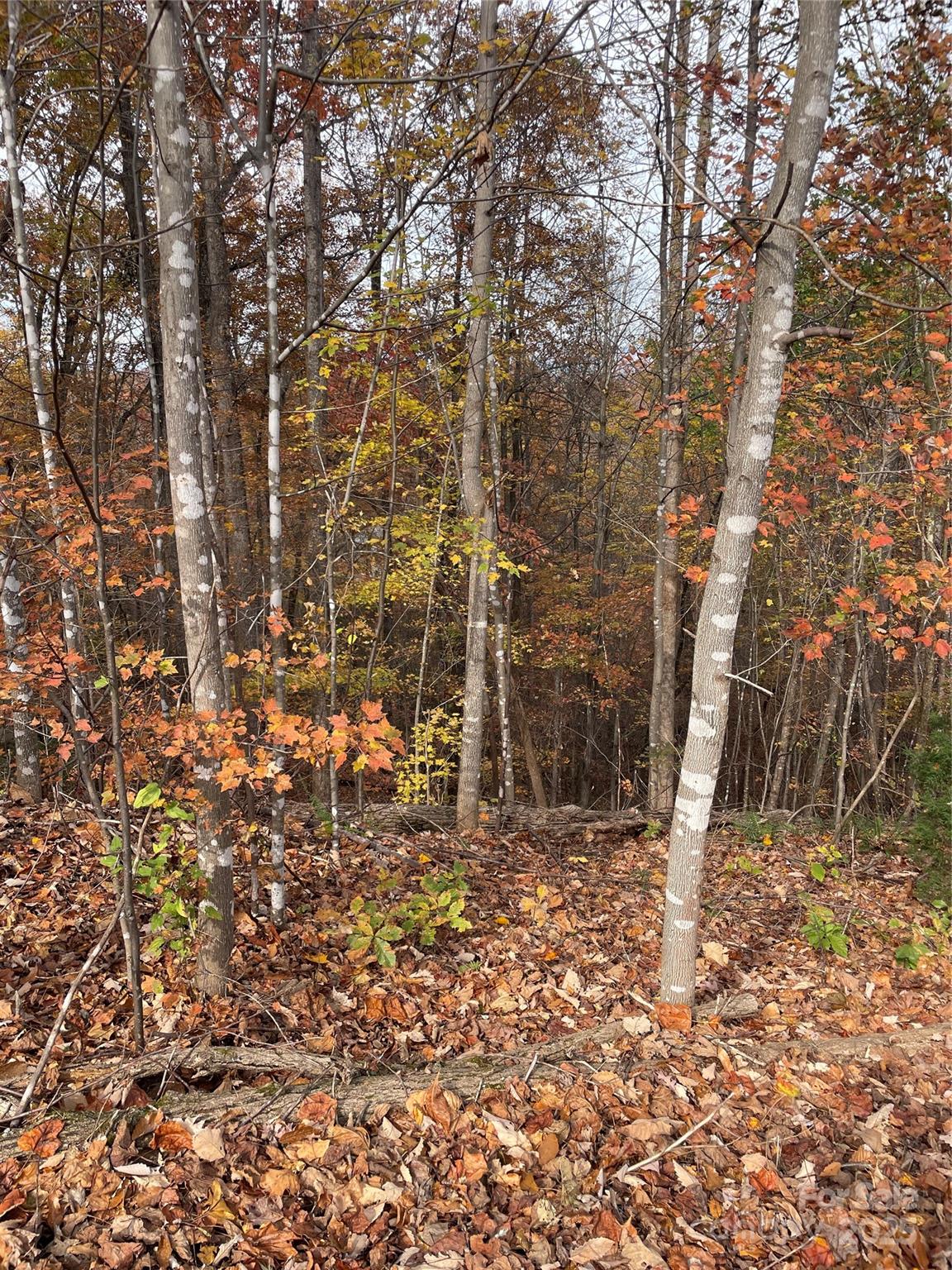 Forest Heights - Land