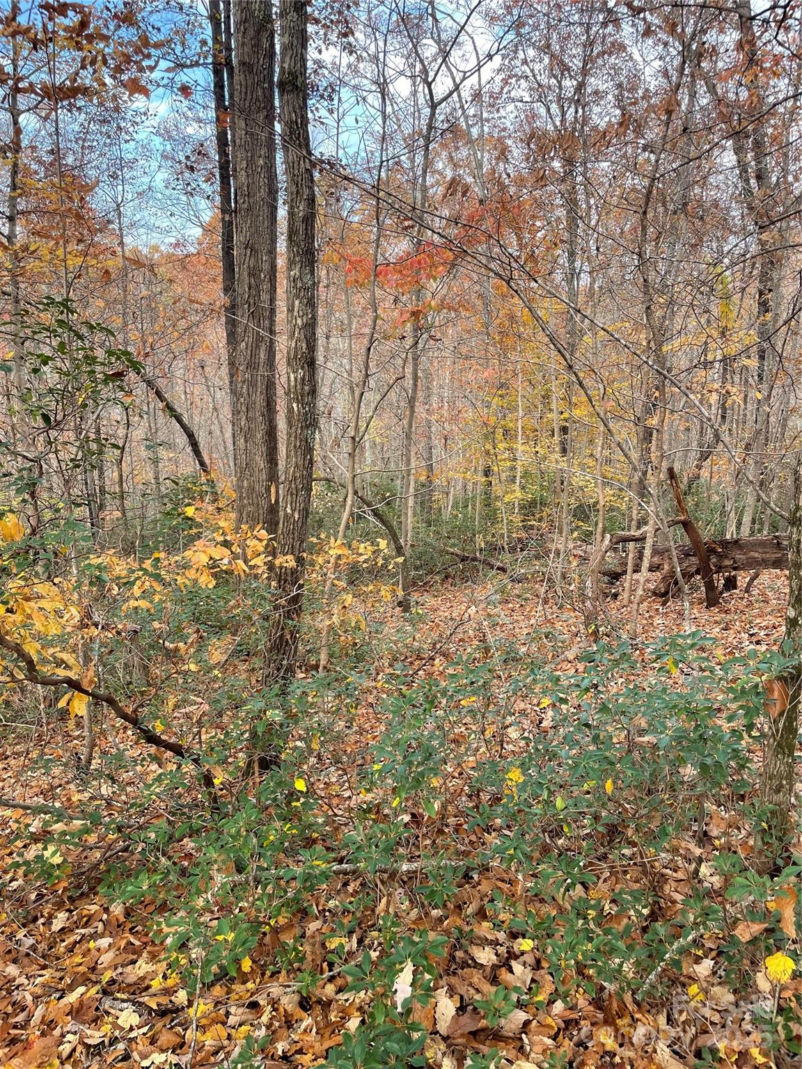 Forest Heights - Land