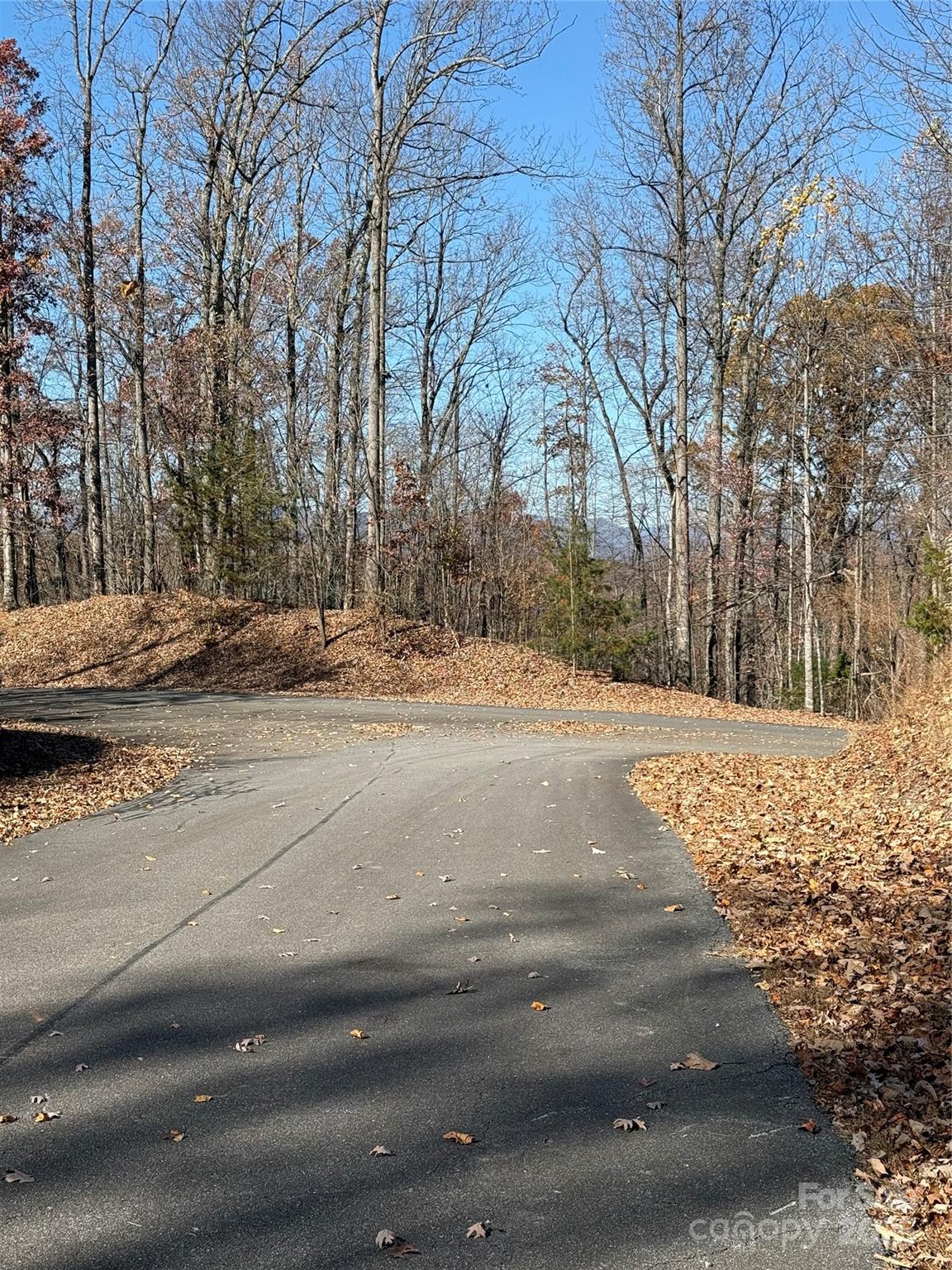 V/L Lot 72 & 170 Black Lark Drive