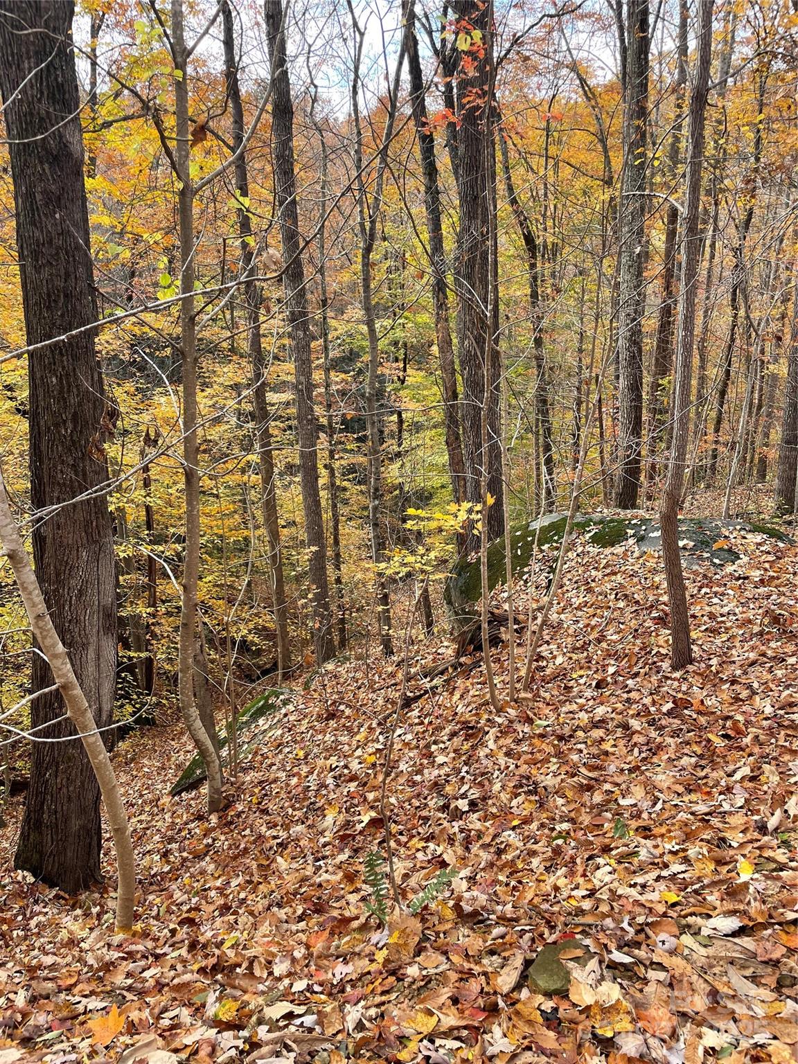 Forest Heights - Land