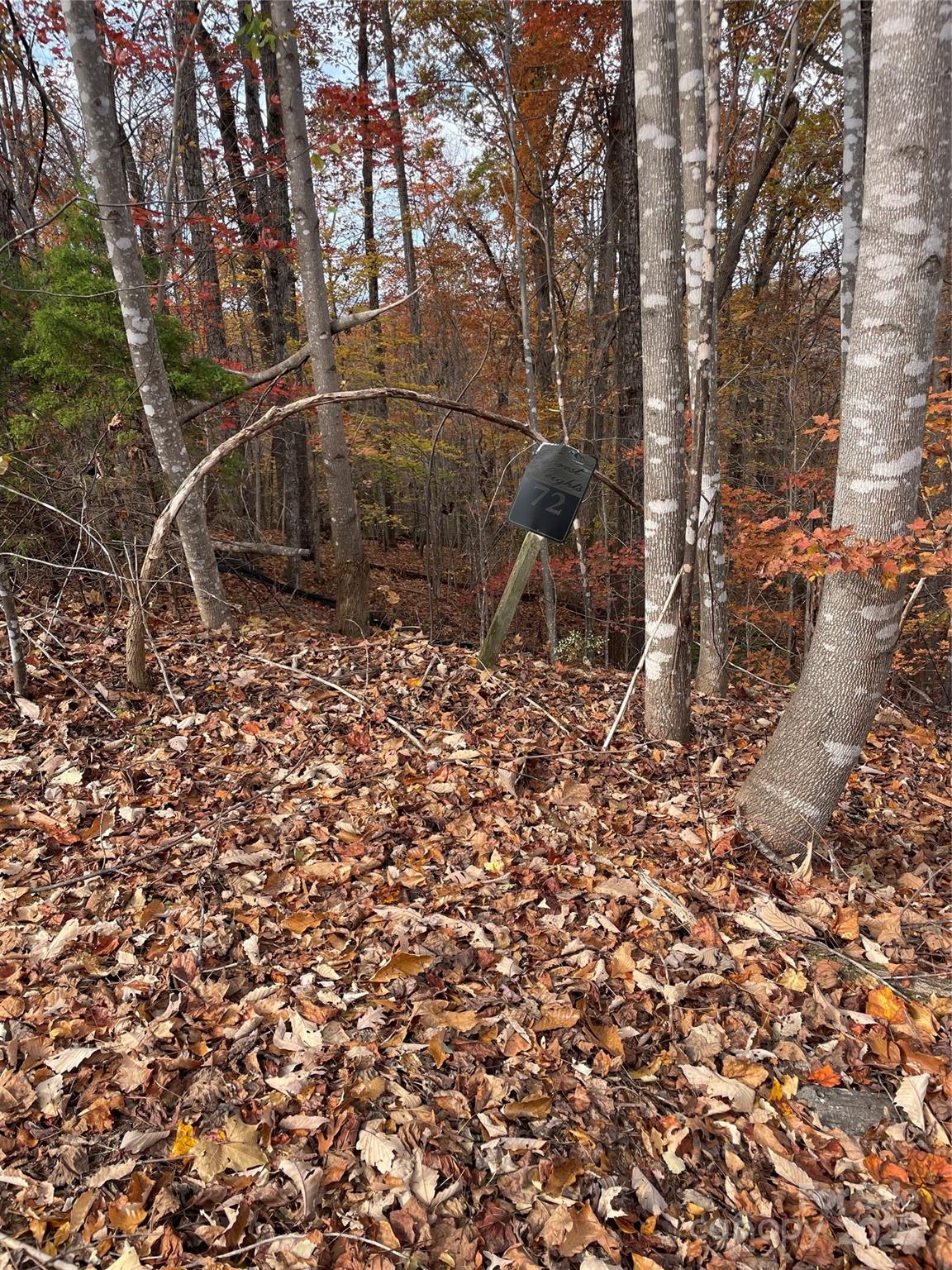 Forest Heights - Land