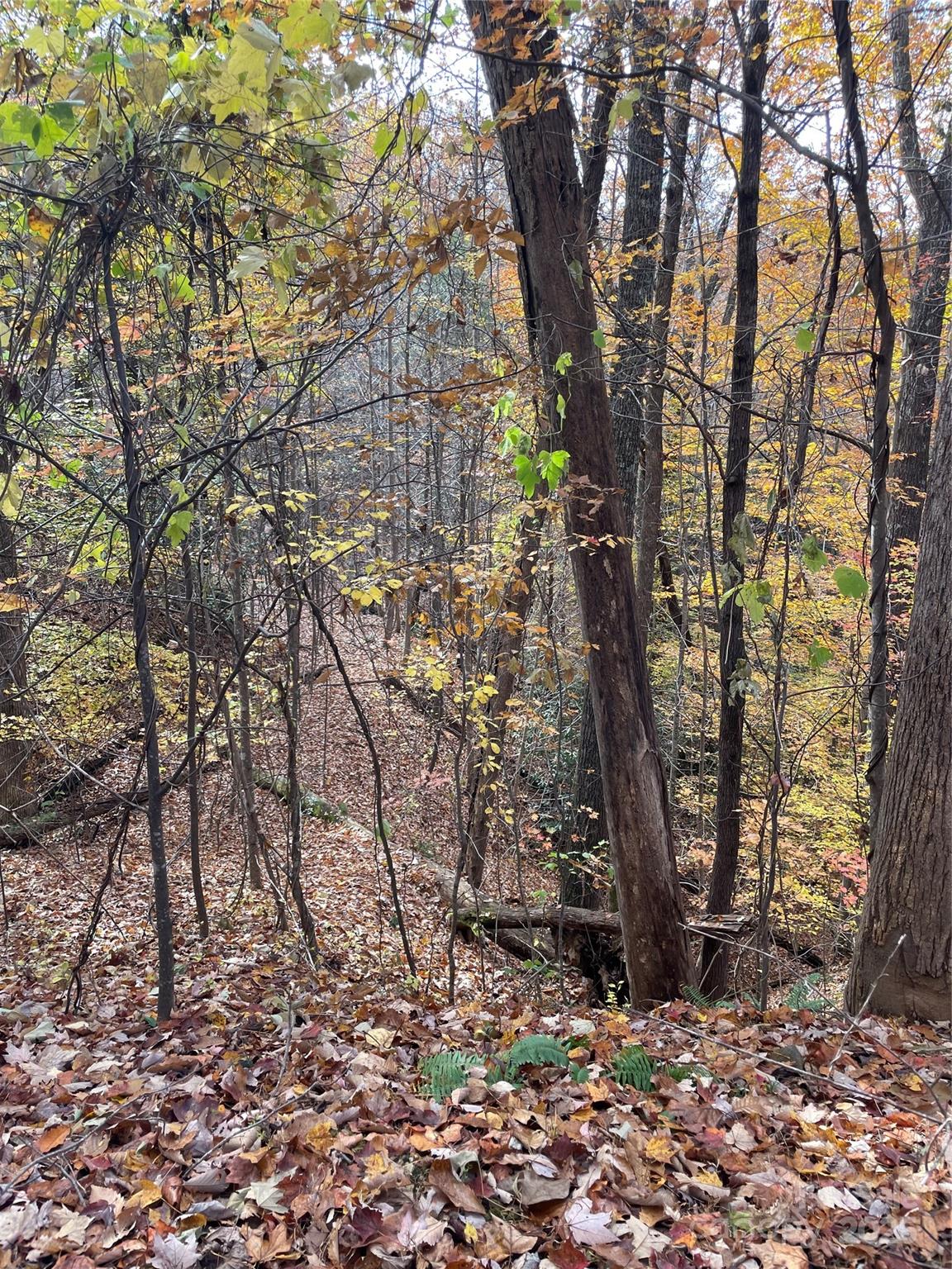 Forest Heights - Land