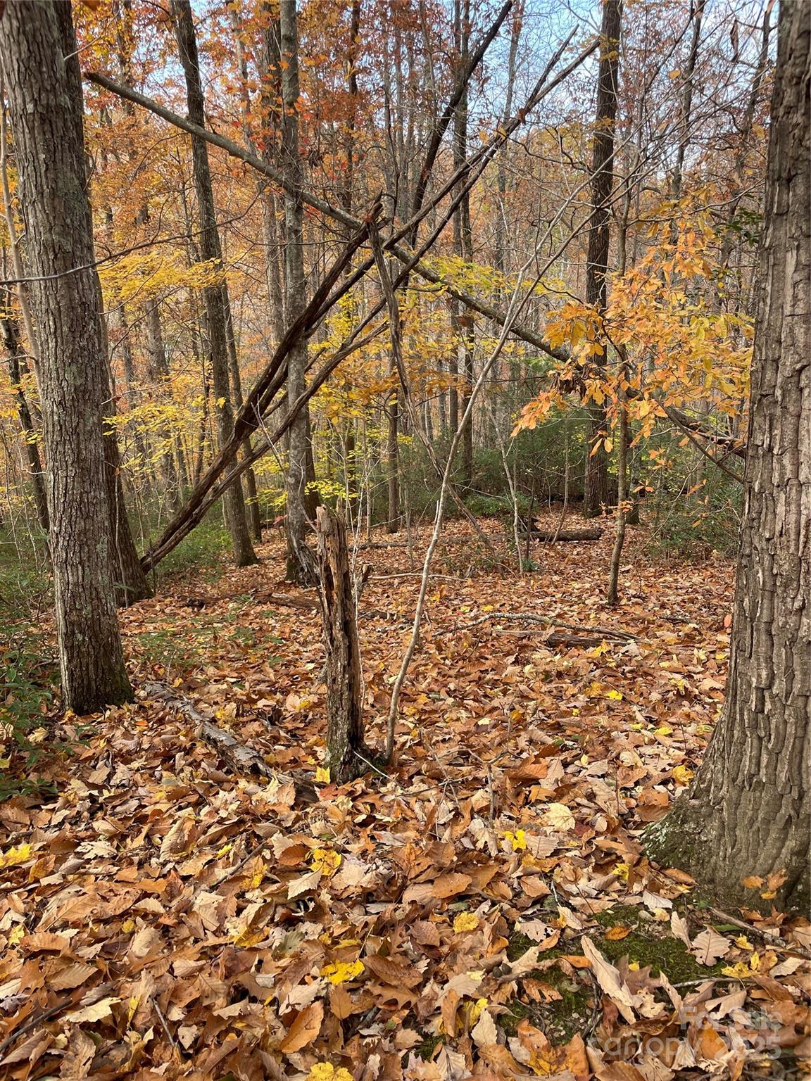 Forest Heights - Land