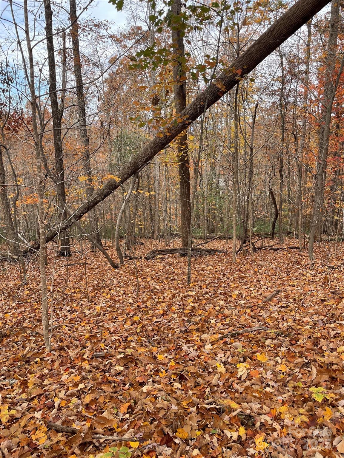 Forest Heights - Land