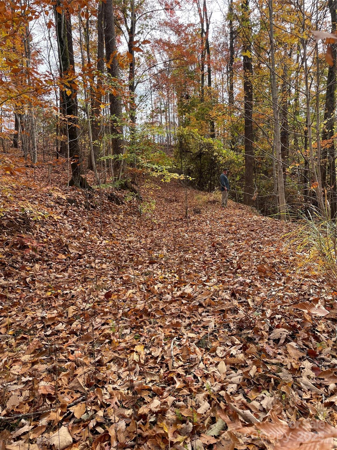 Forest Heights - Land