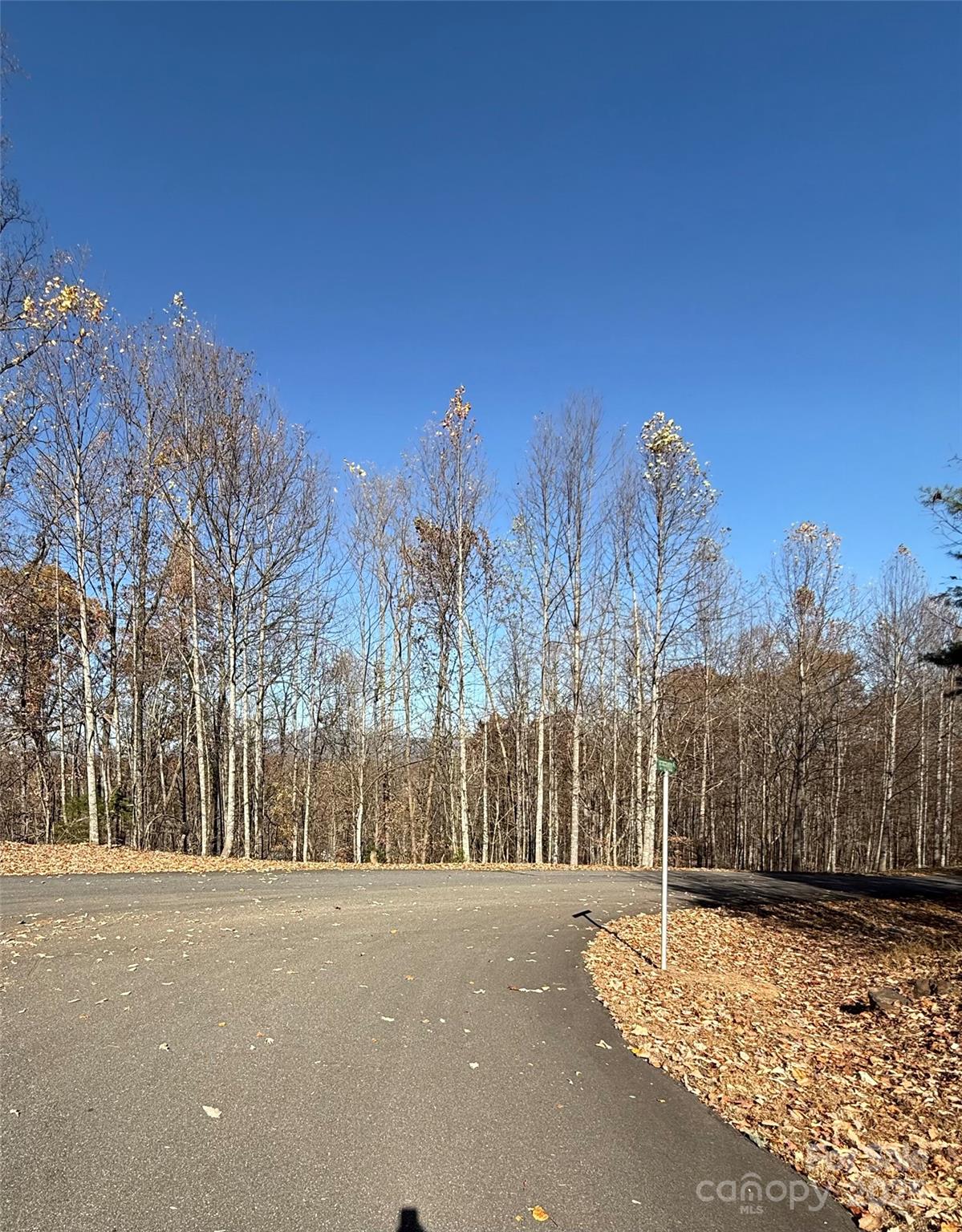 V/L Lot 72 & 170 Black Lark Drive