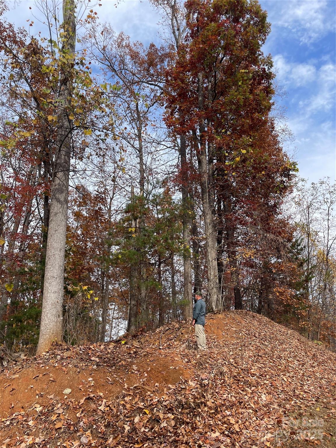 Forest Heights - Land