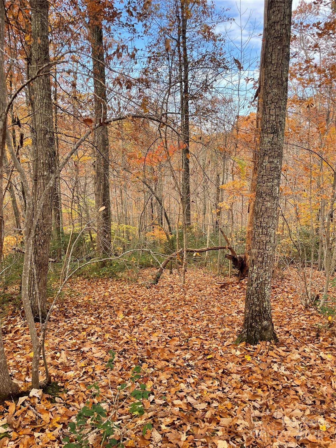 Forest Heights - Land