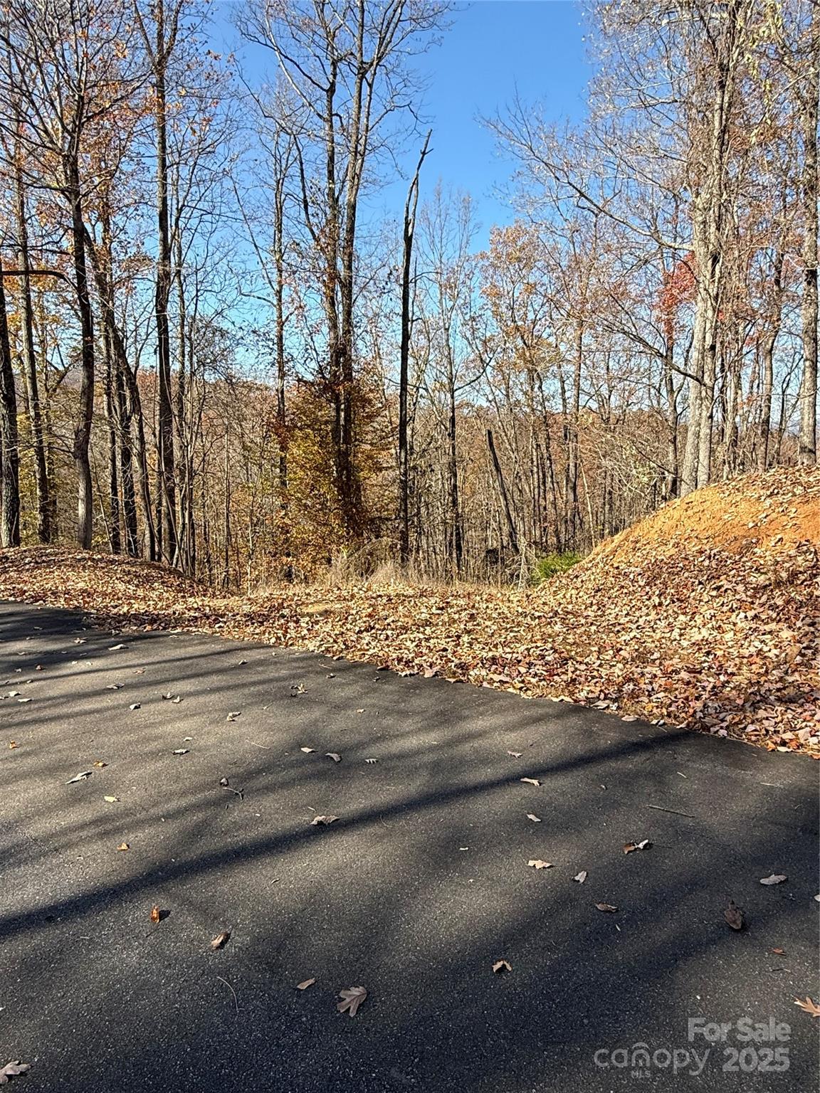 V/L Lot 72 & 170 Black Lark Drive