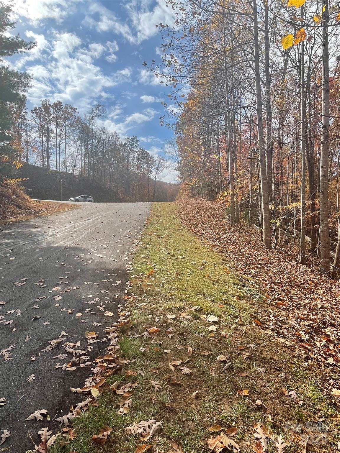 Forest Heights - Land