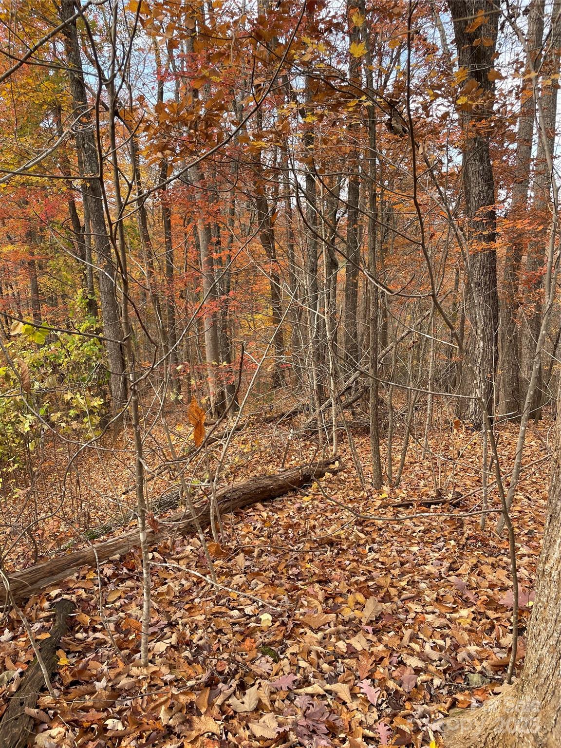 Forest Heights - Land