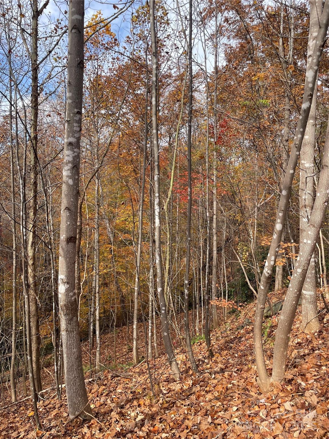 Forest Heights - Land