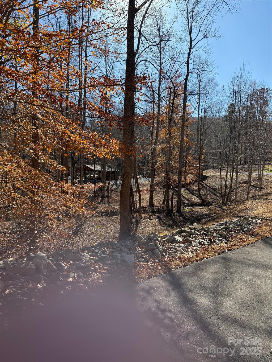 Forest Heights - Land